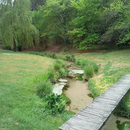 Chalet Camping 5 Etoiles Landes