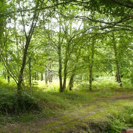 Chalet Camping 5 Etoiles Landes 5*