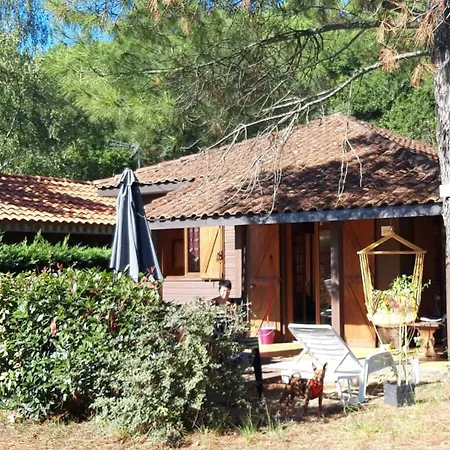 Chalet Camping 5 Etoiles Landes