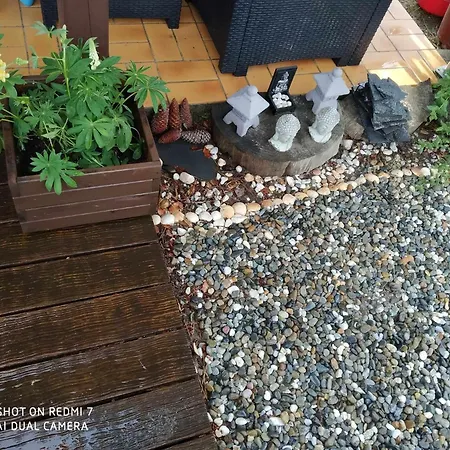 Les Vignes Lit-et-Mixe