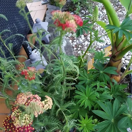 Camping Les Vignes 5*