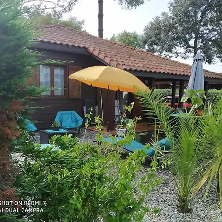 Kemping Chalet Camping 5 Etoiles Landes Lit-et-Mixe