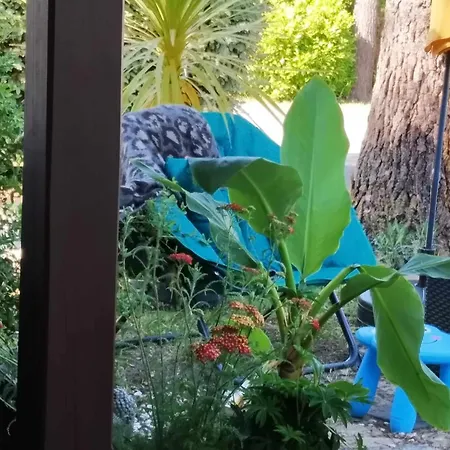 Les Vignes Lit-et-Mixe