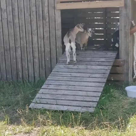 Camping Les Vignes Lit-et-Mixe