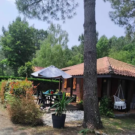 Kemping Chalet Camping 5 Etoiles Landes Lit-et-Mixe