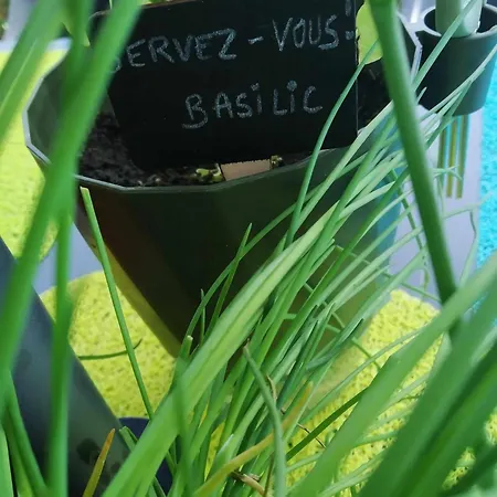 Les Vignes Camping 5*