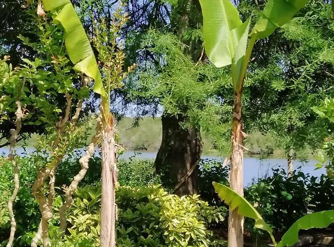 Les Vignes Campeggio