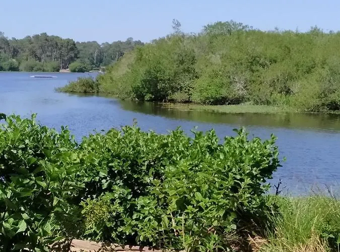 Les Vignes Campeggio 5*