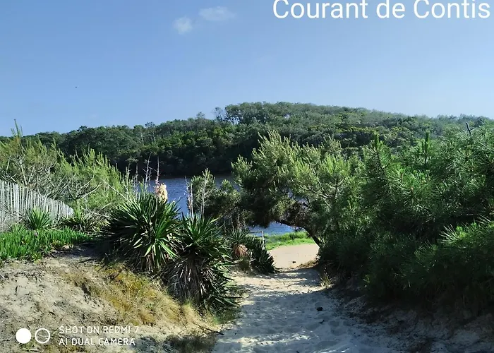 Les Vignes 营地 利和米克斯