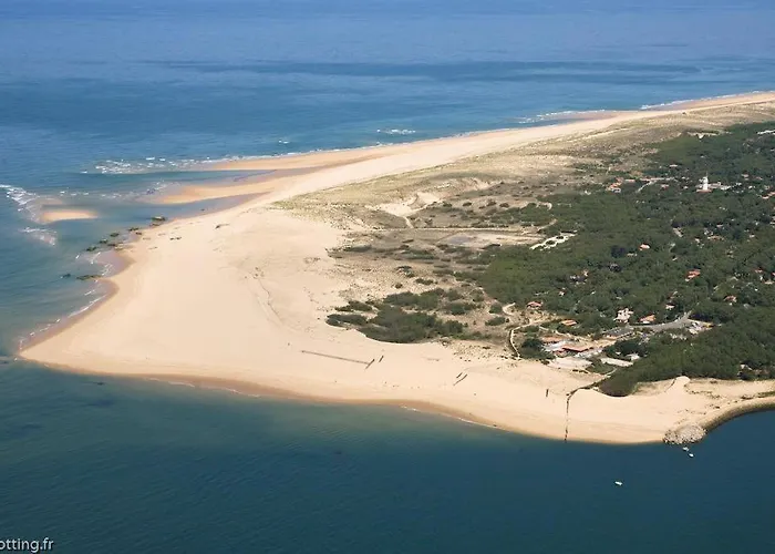 Les Vignes 利和米克斯