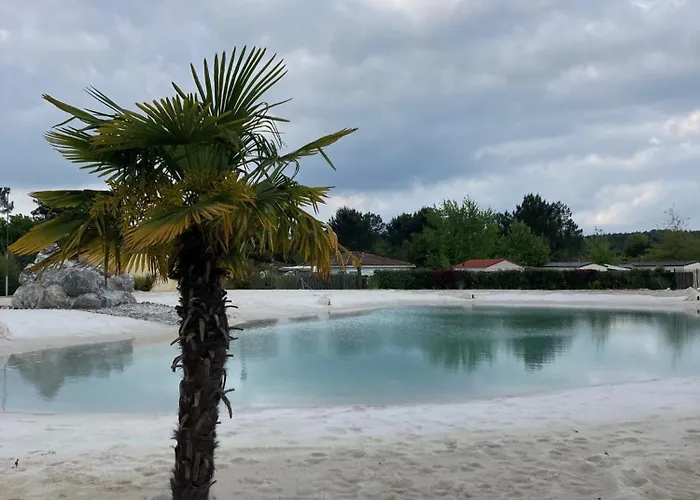 Les Vignes 利和米克斯