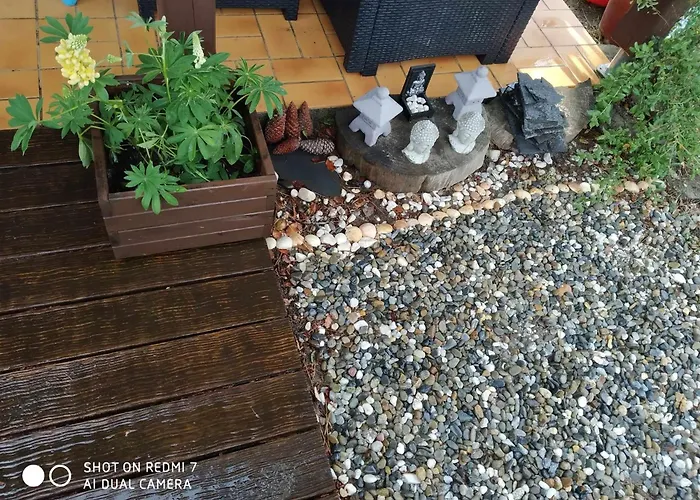 Les Vignes 利和米克斯