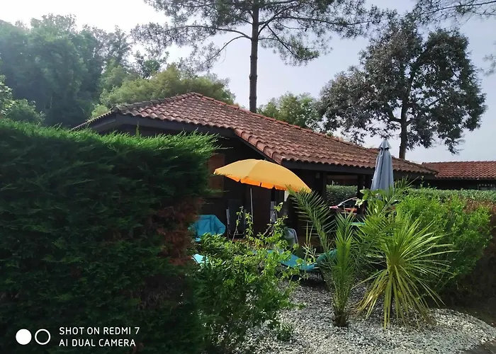 Les Vignes 营地 5*