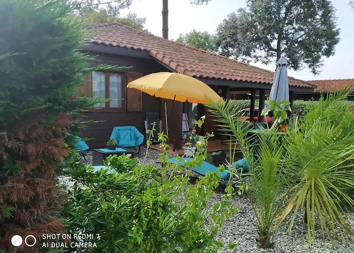 营地 Les Vignes 利和米克斯