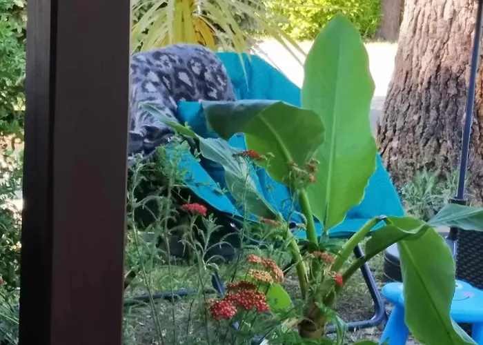 Les Vignes 利和米克斯