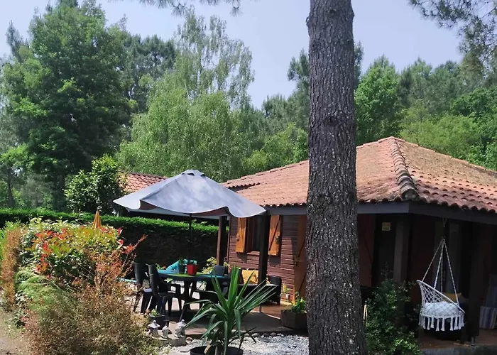 营地 Les Vignes 利和米克斯