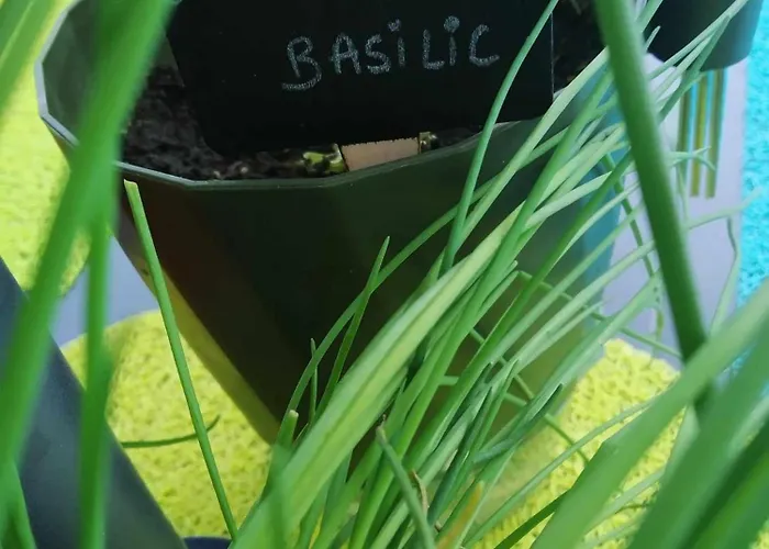 Les Vignes 营地 5*